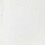 Titanium White